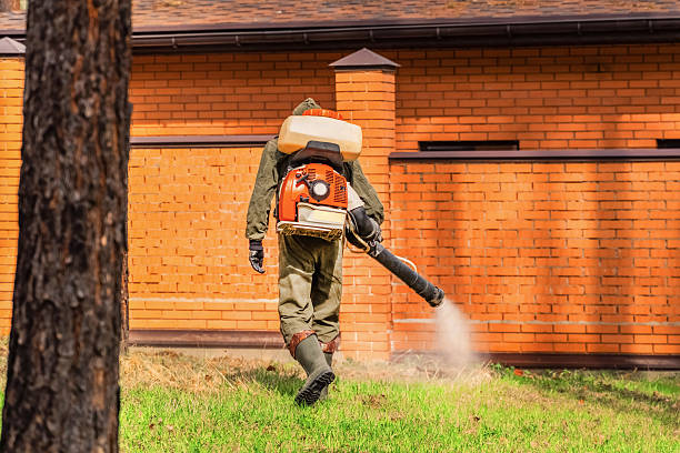Trusted Ant Control service in Wrightsville, GA - Nex Pest Control